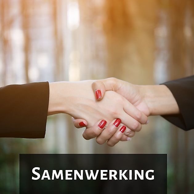 Dealer worden/ Händler werden ? Verin Gellak